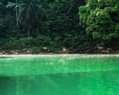 Kenyir lake water with tropical forest trees beautiful tranquill idylic view Stock Photo