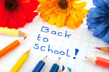 Back to school in cheerful colors with flowers and pencils