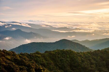 Sunrise over gunung brinchang misty jungle in cameron highlands malaysia