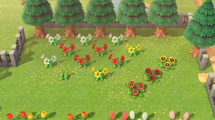 Animal Crossing How to Get Hybrid Flowers