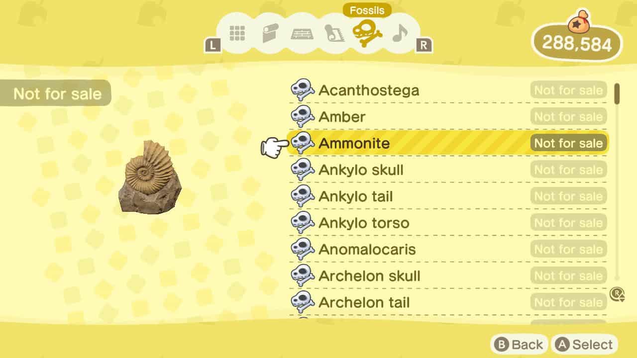 animal crossing new horizons check fossils