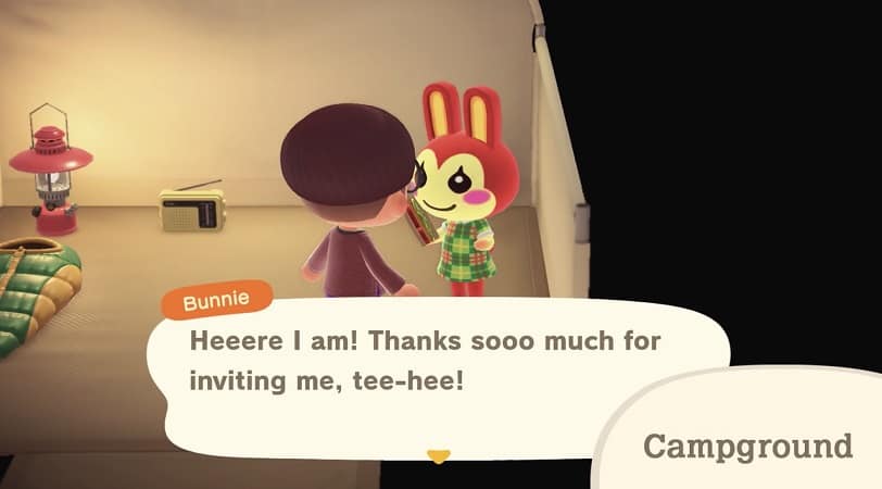 Animal Crossing New Horizons invite villager at campsite