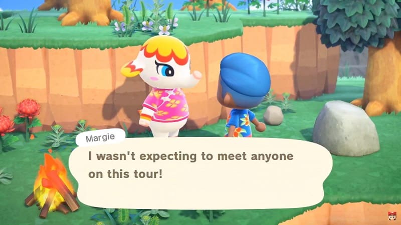 Animal Crossing New Horizons mystery tours